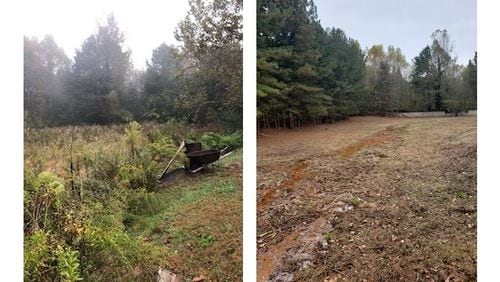 These photos show an overgrown stormwater drainage pond before and after maintenance was completed.