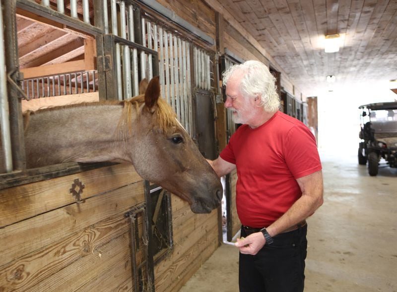 Chuck Leavell tends to one of his four horses at Charlane Plantation.  (Tyson Horne / tyson.horne@ajc.com)