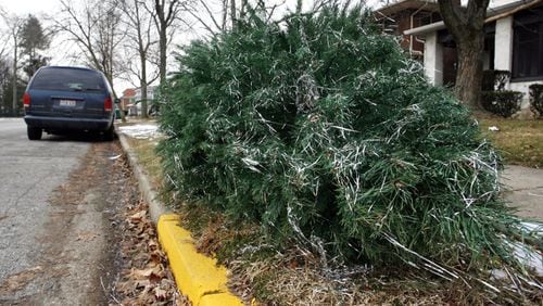 DeKalb County is offering curbside Christmas tree collection through Jan. 10. AJC file photo