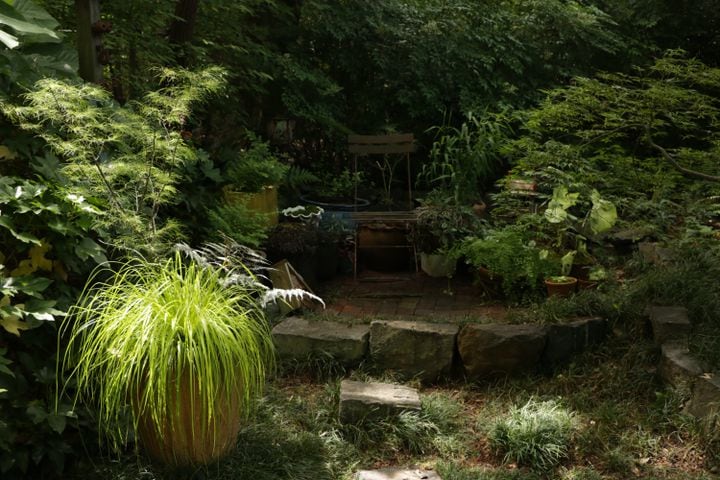 Photos: Best Gardens submitted by AJC readers