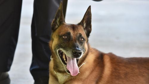 DeKalb County Sheriff’s Office held a retirement ceremony Wednesday for 11-year-old K-9 deputy “Viper.”