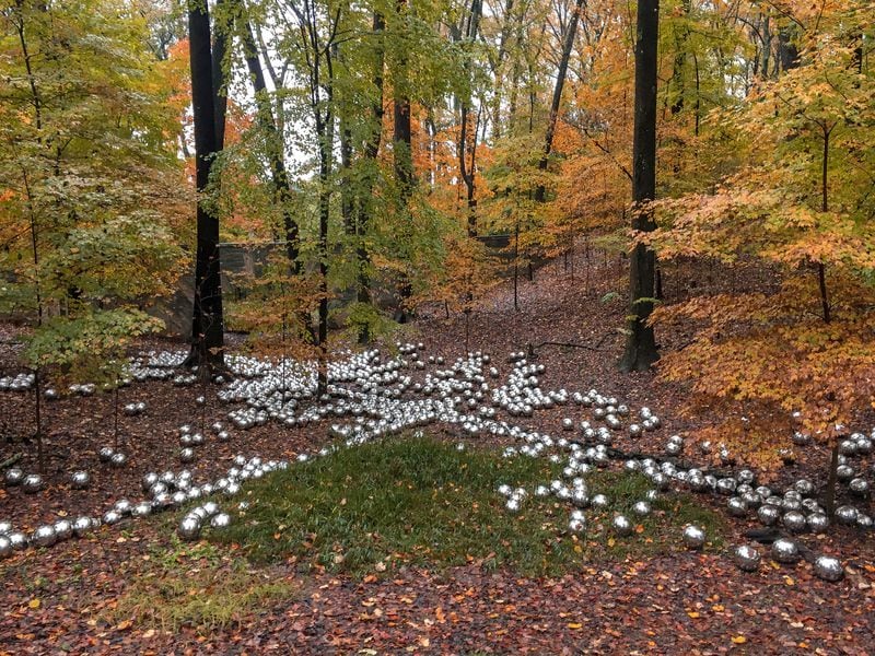 "Narcissus Garden," by Yayoi Kusama, is on loan to the Atlanta Botanical Garden and is installed temporarily in the Storza Woods section of the garden. CONTRIBUTED: ATLANTA BOTANICAL GARDEN