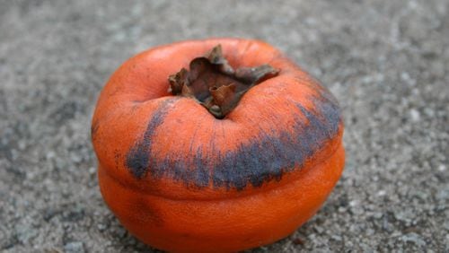 There are several ways to remove astringency from persimmons. (Walter Reeves for The Atlanta Journal-Constitution)