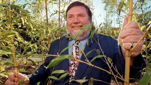 991103 - ATLANTA, GA. - Dr. Terry Maple, Director of Zoo Atlanta, in the bamboo that is part of the new Giant Panda habitat. He has been director of the zoo since mid-eighties. (LOUIE FAVORITE/ AJC STAFF)