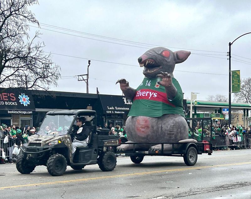Scabby The Rat was a big hit in the South Side Irish St. Patrick's Day parade in Chicago. Scabby is used as a protest tool by unions at non-union work sites, The union connections helped Chicago seal the 2024 Democratic Convention.