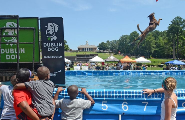 Stone Mountain Park DockDogs World Championship Qualifiers