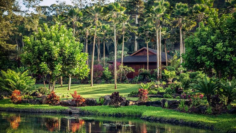 The Japanese-inspired Sensei Lanai in Hawaii is a luxury retreat where wellness experts design personalized approaches to each guest's needs.
Courtesy of Sensei Lanai, A Four Seasons Resort