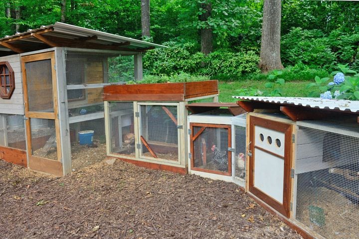 Photos: YA author’s Decatur home shows off her literary flair, ‘chicken fortress’