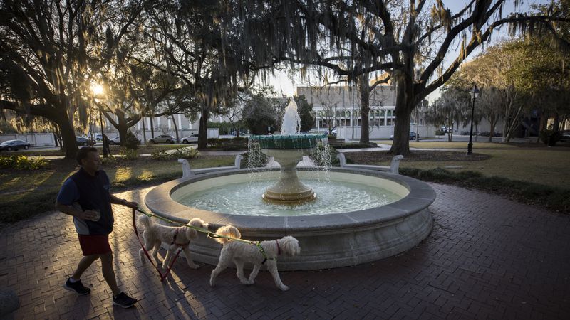 A resident walks his dogs past the fountain in Savannah's Orleans Square. The Savannah area, which has a strong local economy and a 3.25% unemployment rate, is relatively insulated from the economic issues that traditionally drive voter turnout. (Stephen B. Morton for The Atlanta Journal-Constitution)
