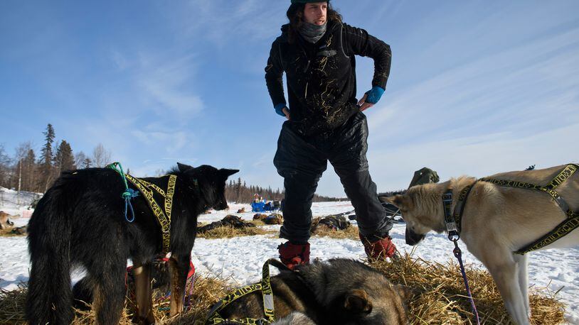 Earlier this month, Sean Underwood tends to his team at a stop along the 975-mile Iditarod trail. (Marc Lester / Achorage Daily News)