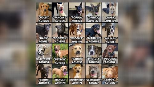 All 20 dogs at risk of being euthanized Friday at the Clayton County animal shelter have been adopted or received commitments from animal rescue groups, animal control officials said late Thursday.