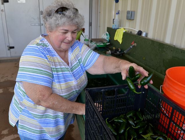 Lovejoy city garden feeds town's hungry