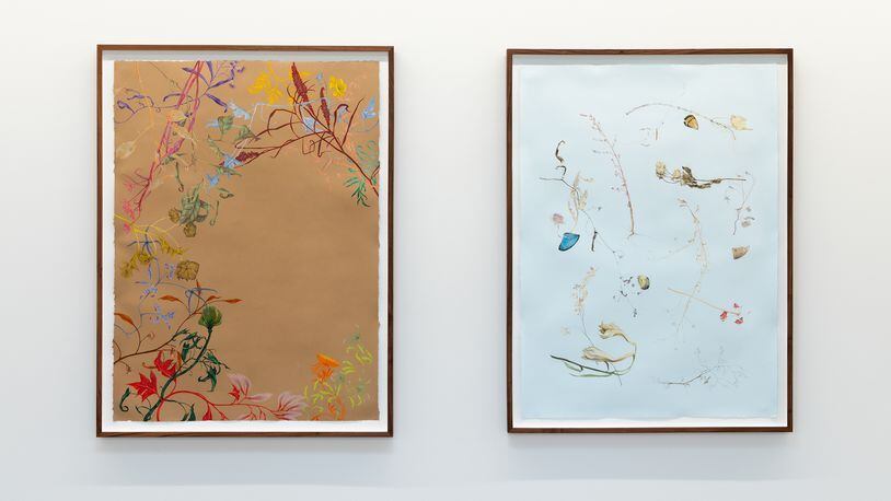 Installation view of "Colour Study, after Kokoschka (flora)," left, and "Summer Bones No. 2," right, both by Zachari Logan.
(Courtesy of Wolfgang Gallery)