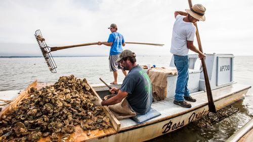 In this 2015 file photo, John Stokes, center, culls Apalachicola oysters while his two sons Ryan, left, and Wesley Stokes tong oysters from the bottom of Apalachicola Bay. The region’s oyster industry is at the heart of the Florida-Georgia Supreme Court case justices ruled on July 27, 2018.