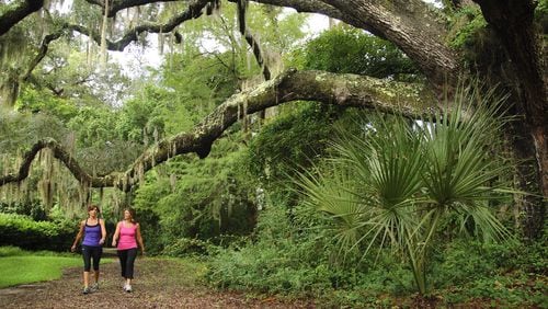 The stunning natural beauty of the Lowcountry surrounding Hilton Head Health provides a tranquil backdrop for fitness walking. CONTRIBUTED BY HILTON HEAD HEALTH