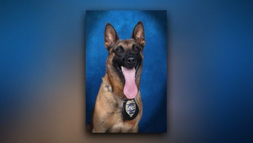 <p>K-9 Eli, a 9-year-old police dog, tracked a suspect in Grayson for about 30 minutes when he began to show signs of distress.</p>