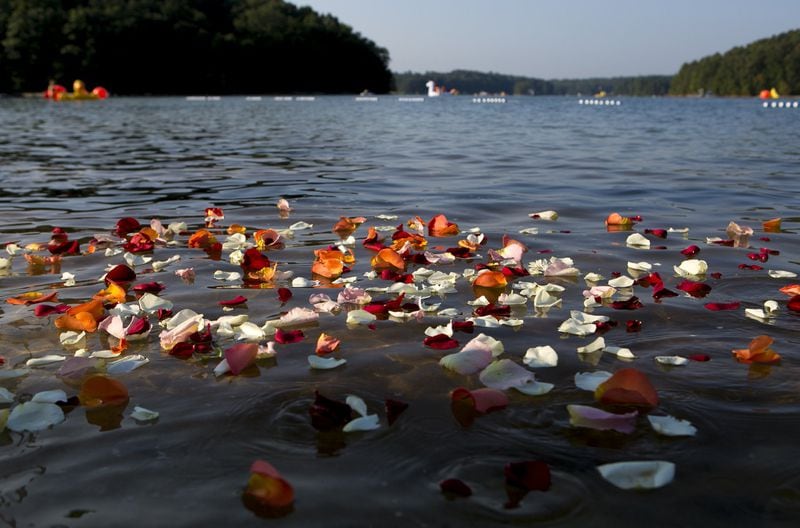Red and white rose petals in honor of Grace Bunke, who died of cancer in March, float on top of the water at Swim Across America’s 2018 Atlanta Open Water Swim event at Lake Lanier in Buford. CASEY SYKES / FOR THE ATLANTA JOURNAL-CONSTITUTION