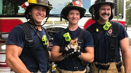 Cobb County Fire and Rescue saved this tiny kitten. They named him Storm.