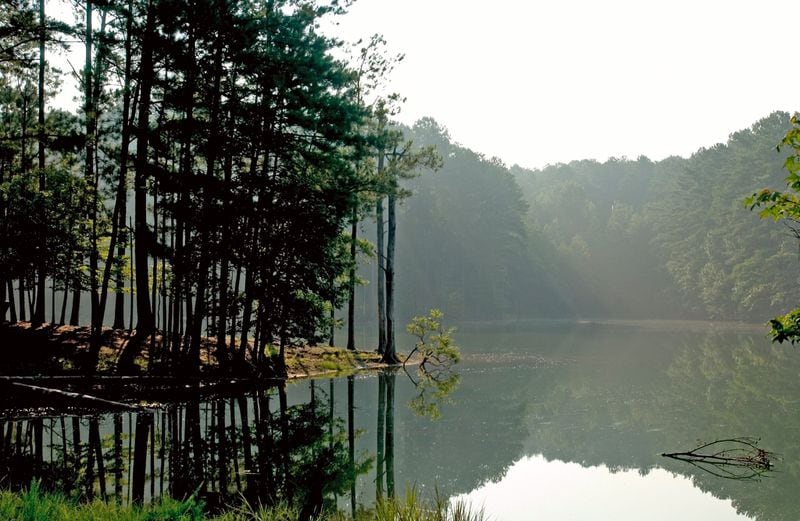 Red Top Mountain State Park contains a number of developed picnic areas with great views of Lake Allatoona, or you can hike along miles of lakeside trails with sandwiches and drinks in a backpack.