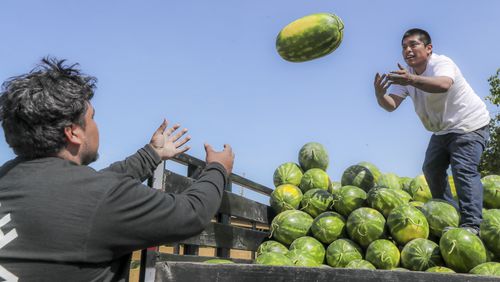 Daniel Valle, left, and Jorge Aguilar of PM Produce unload watermelons at the Atlanta State Farmers Market in Forest Park . This year Georgia voters will select the state's next agriculture commissioner, who oversees a department with responsibilities that include enforcing food safety regulations, marketing Georgia crops, and verifying the quality and quantity of motor fuels sold at pumps. (John Spink / John.Spink@ajc.com)