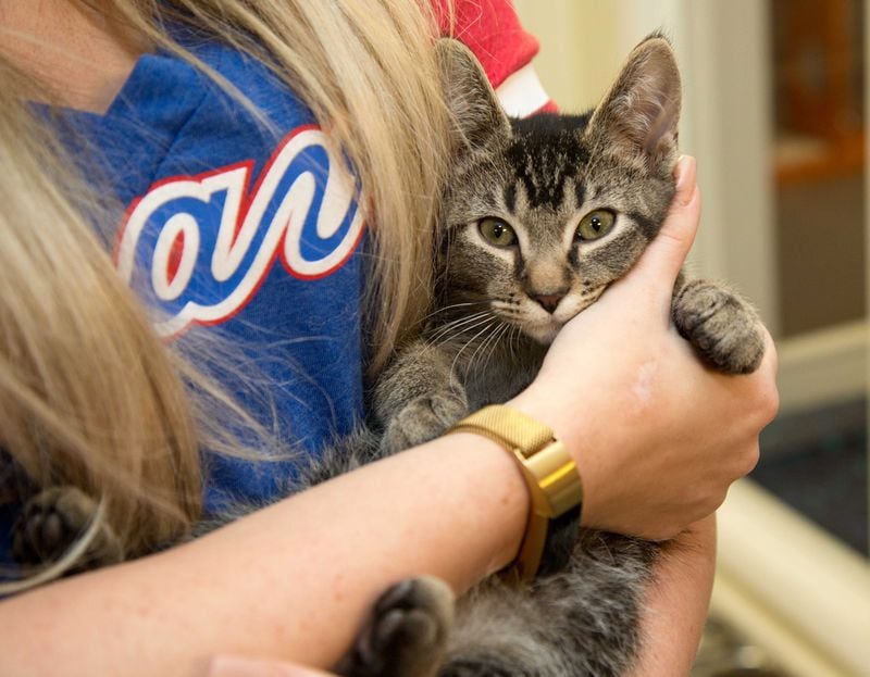 Chelsea Freeman, wife of Atlanta Braves baseball player Freddie Freeman held a kitten named "Charlie Sheen" during a visit to Best Friends in Atlanta as part of the team's Season of Giving on Wednesday, Dec. 12, 2018. The animal shelter works collaboratively with area shelters, animal welfare organizations and individuals to save the lives of pets in shelters in the South. (Photo by Phil Skinner)