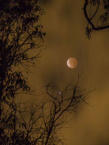 April 14 Lunar Eclipse
