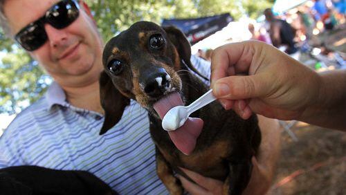 Vanilla is the flavor of choice for "Gertie" who tagged along with Jim Hoffman of Roswell.