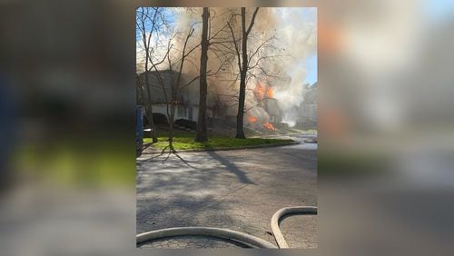 A fire at St. James Place in College Park claimed the lives of two dogs.