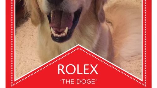 Rolex, a golden retriever from Duluth, was named one of Milk-Bone's "Dogs That Changed the World."