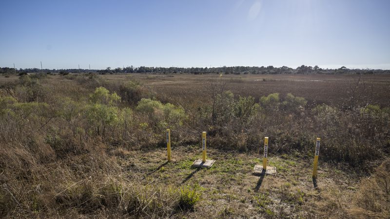 Four vertical wells stand on the edge of a 750 acre marsh that borders the SeaPoint property. SeaPoint donated the marsh to the state and continues to monitor for any contamination. (Stephen B. Morton for the AJC)