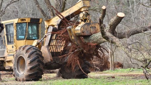 A worker cleans up fallen pecan trees damaged by Hurricane Michael months earlier at Pippin Farm in Albany. HYOSUB SHIN / HSHIN@AJC.COM