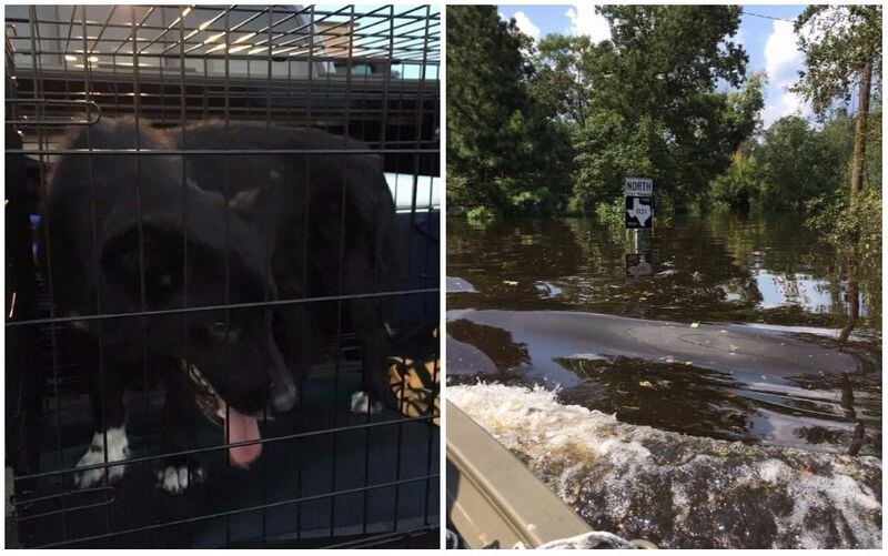 Marietta firefighter Ron Presley shows what the aftermath of Hurricane Harvey in Texas looks like. He's there with an animal disaster rescue group.