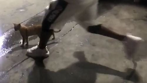 An Instagram video shows a man kicking a cat at an Atlanta gas station.