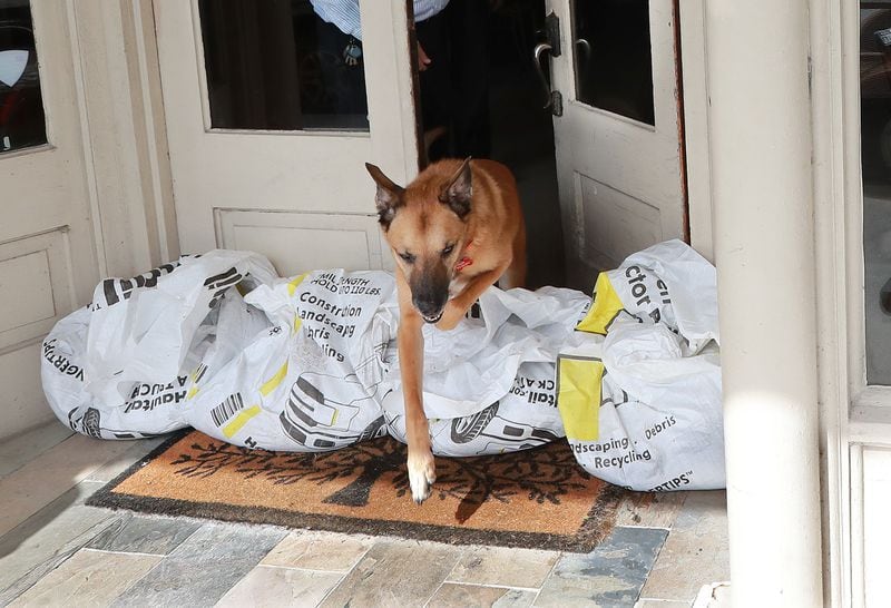 The hotel dog Bear jumps over sandbags at the front door of the Riverview Hotel during preparations for Hurricane Dorian on Monday, Sept. 2, 2019, in St. Marys. Bear belongs to managers Matt and Janet Kircher, who are staying to watch over the property. Mandatory evacuation has been issued for the area east of Interstate 95.  (Photo; Curtis Compton/ccompton@ajc.com)