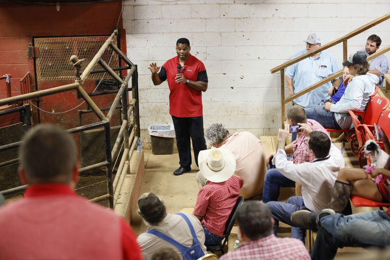 Senate candidate Herschel Walker speaks during a campaign event to farmers at the Northeast Georgia Livestock; his message was about the economy and against his opponent Sen. Raphael Warnock and President Joe Biden. Miguel Martinez / miguel.martinezjimenez@ajc.com
