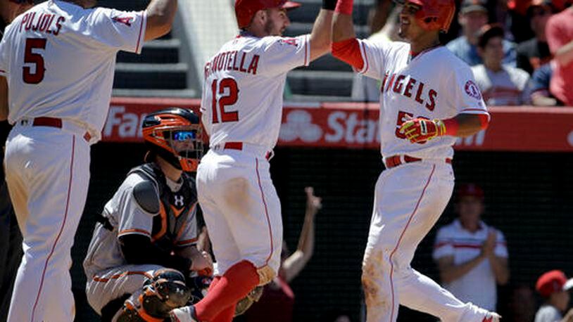 Los Angeles Angels' Carlos Perez, right, celebrates after hitting a three-run home run with Albert Pujols (5) and Johnny Giavotella (12) as Baltimore Orioles catcher Caleb Joseph looks on during the seventh inning of a baseball game in Anaheim, Calif., Sunday, May 22, 2016. (AP Photo/Chris Carlson)