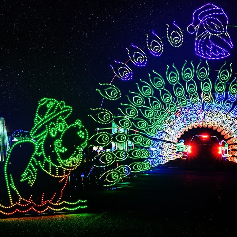 The Enchanted Safari at Six Flags White Water features more than one million lights and is the largest drive through light experience in the world. 
(Courtesy of the World of Illumination)