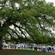 Patrons stand around the oak tree by the Augusta National Clubhouse during the practice round of the 2024 Masters Tournament at Augusta National Golf Club, Wednesday, April 10, 2024, in Augusta, Ga. (Jason Getz / jason.getz@ajc.com)