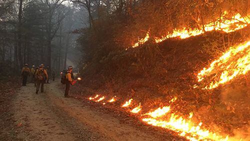U.S. Forest Service crews are battling the Rock Mountain fire in North Georgia. (Credit: U.S. Forest Service)