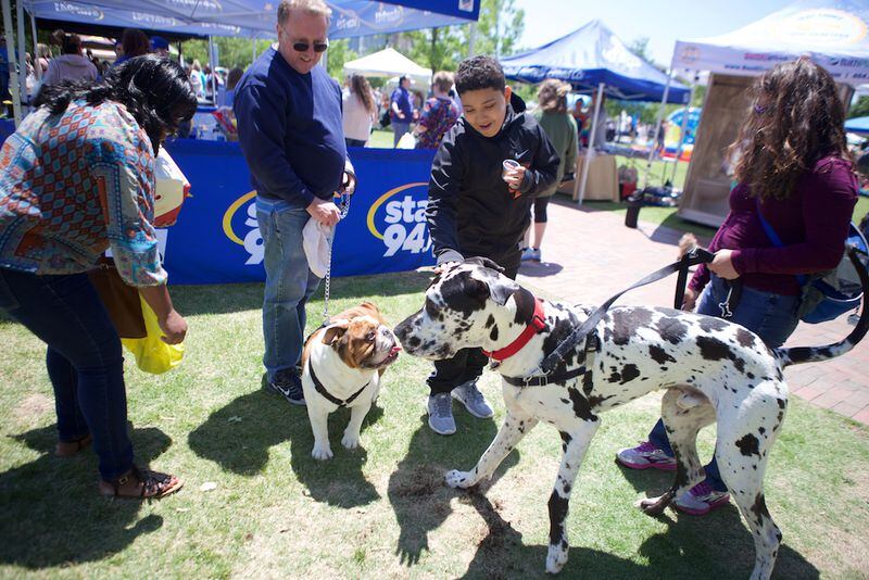 Animal lovers unite at Woofstock to participate in contests and pet adoptions. It will be held Sept. 30-Oct. 1. CONTRIBUTED