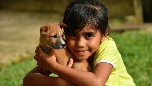 Gwinnett animal shelter extends adoption hours on Thursdays beginning July 26. File photo courtesy of Pixabay