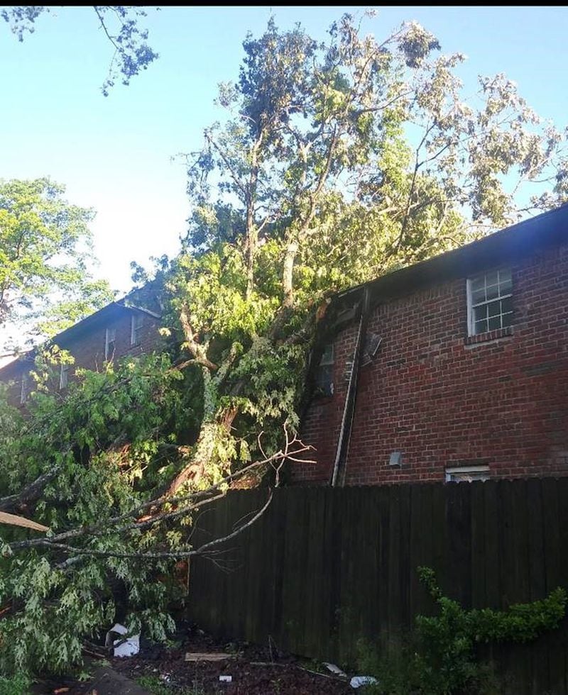 Belvedere Park resident Emma Cepalina said she is fortunate no one was sleeping in a guest bedroom when a tree came crashing through the roof Monday morning,