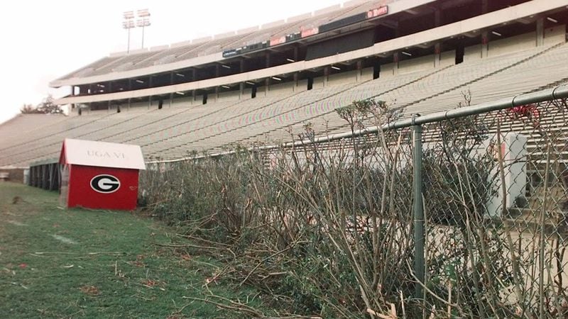 The hedges near Uga's doghouse in front of the student section in the northeast corner of Sanford Stadium are ravaged and torn away on Oct. 8, 2000, after they suffered extensive damage by fans who mobbed the field after Georgia's victory over Tennessee.