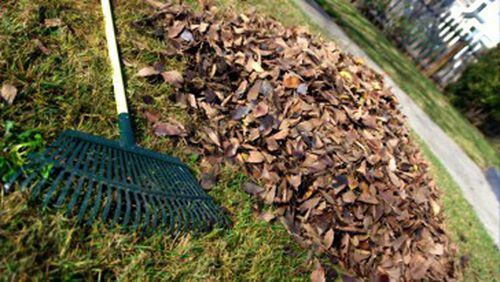 Yard waste pick-up dates are changing in Roswell in an effort to even out daily collections across five days of the week. AJC FILE