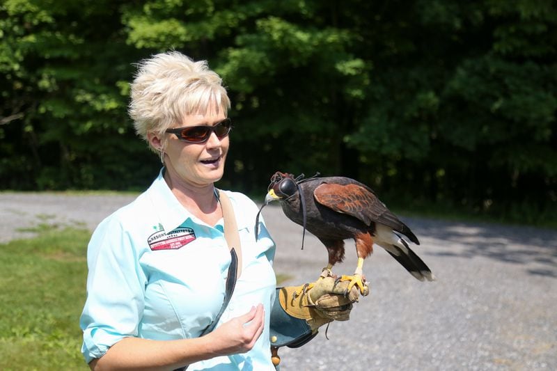 Linda Spence demonstrates falconry at the Omni Homestead Resort.  Courtesy of Omni Homestead Resort