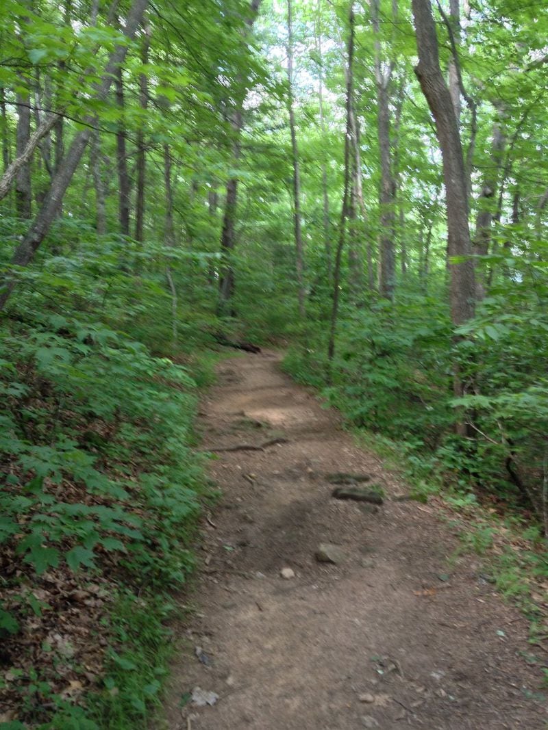The Byron Reece Trail in the Chattahoochee National Forrest connects with the Appalachian Trail to create a nearly 2-mile hike to the summit of Blood Mountain. PHOTO CREDIT: Phil W. Hudson