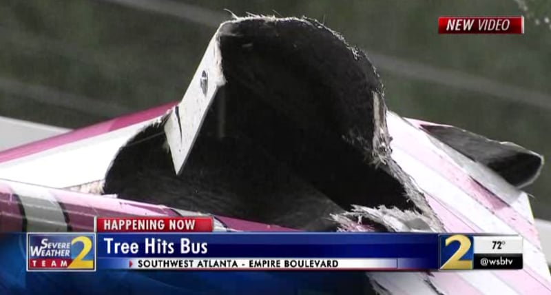 A tree was knocked down by weather onto a MARTA bus Thursday.