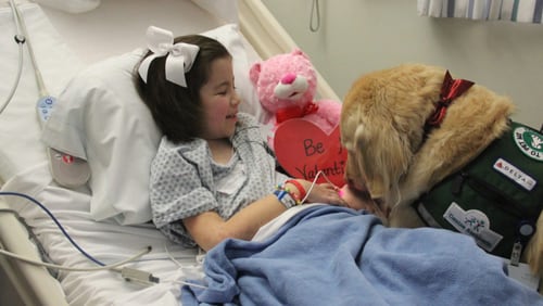 Service dog Casper comforts a young patient at Children's Healthcare of Atlanta at Scottish Rite.