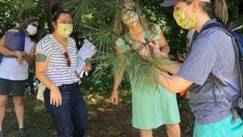 Training begins July 9 for eight consecutive Saturdays for adults who want to be trained as volunteer TreeKeepers to care for Atlanta's urban forest. (Courtesy of Trees Atlanta)