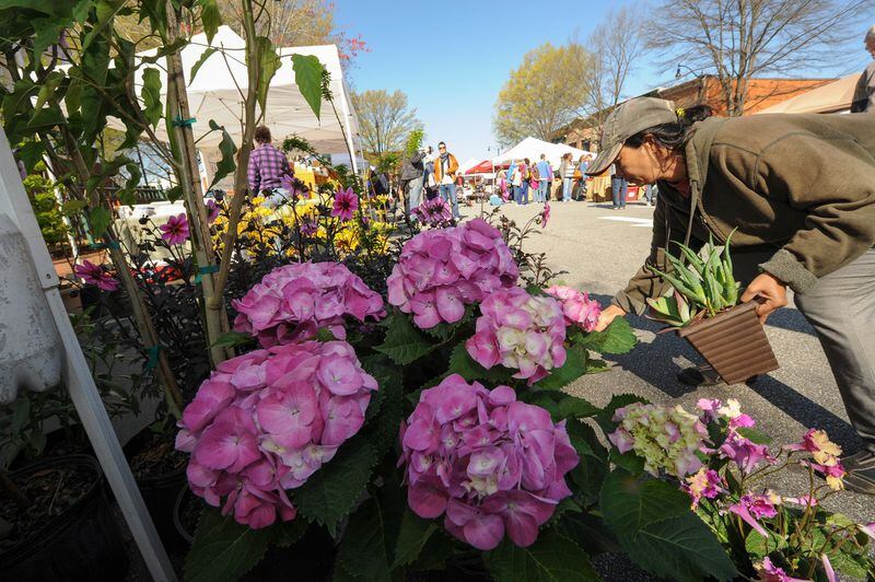 The Marietta Square Farmers Market has more than 65 vendors offering everything from fruits and vegetables to home goods and kitchen staples. CONTRIBUTED BY WWW.BECKYSTEINPHOTOGRAPHY.COM (2015)